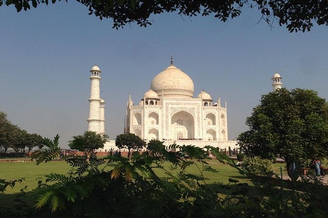 Private Day Tour of Tajmahal From New Delhi Including Agra Fort and Baby Taj - Skip-the-lines, crowds, and how the guide helps