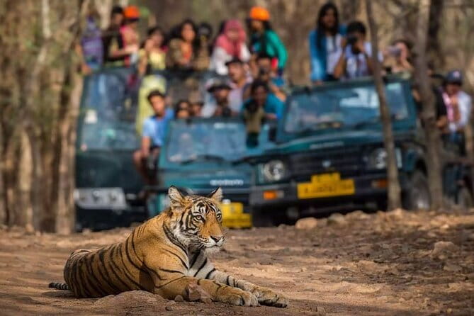 Private Delhi Agra Jaipur Multi Day Tour - Key Highlights You Can Plan Around
