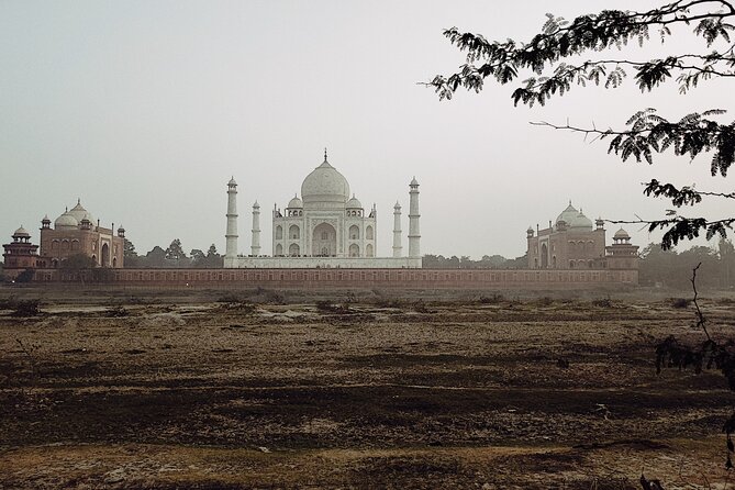 Private Full-Day Taj Mahal and Agra Fort Tour from New Delhi - Lunch at Courtyard Agra: a 5-star buffet that keeps the pace