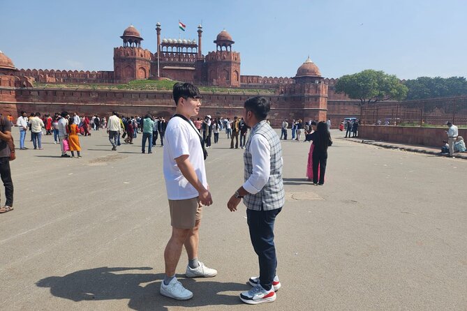 Private Full or Half Day Old and New Delhi City Tour - Pickup, Vehicle Comfort, and How the Day Gets Organized