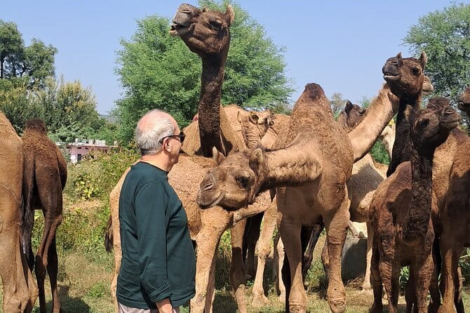 Private Golden Triangle Tour 5 Nights/6 Days - All Inclusive - Day 2: Jama Masjid, Chandni Chowk, Red Fort, India Gate, and Humayun’s Tomb