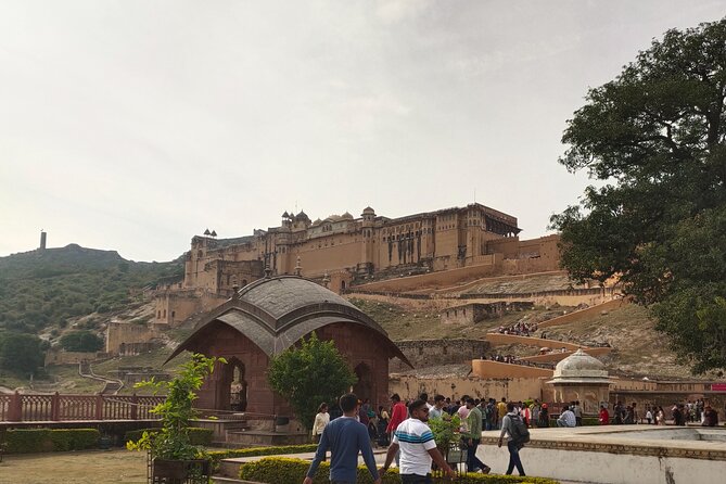 Private Same Day Jaipur Tour from Delhi by Car - Jal Mahal: a quick, scenic break (and it’s ticket-free)