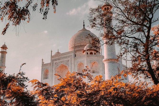 Private Same Day Tour To Taj Mahal From Delhi By Car - Who this tour suits best (and who might want something else)