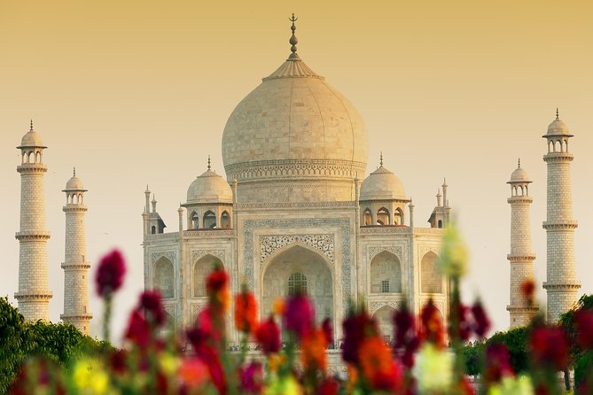 Private Taj Mahal & Agra Fort Tour, Dine with a View - The Delhi to Agra drive: comfort matters as much as the monuments
