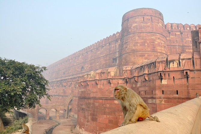 Private Taj Mahal & Agra Tour by Express Train From - Delhi - How the Day Stays Comfortable: Air-Conditioned Car, Parking, Water, and Onboard Meals