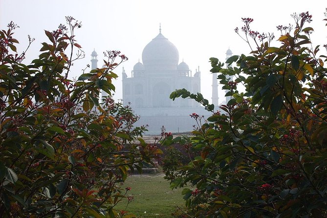 Private Taj Mahal from Delhi to Agra By Car - Lunch at an AC local restaurant, including vegetarian options