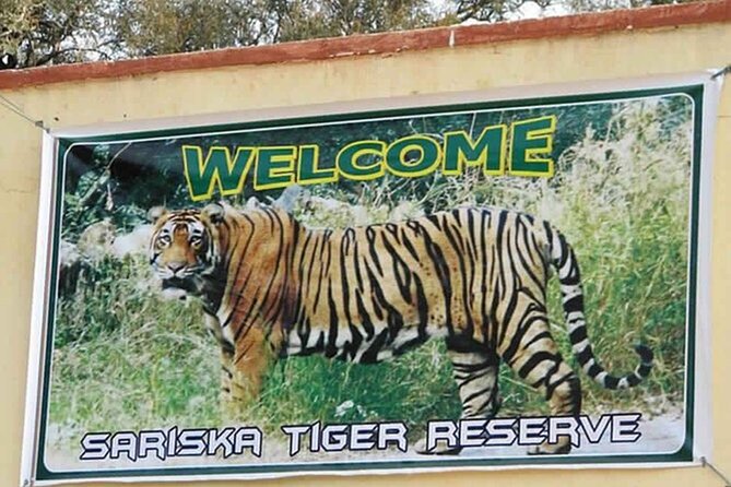 Private Tour from Delhi to Sariska Safari and Jaipur (1N/2D) - Riding comfort from Delhi: AC transfers and what to expect in the park