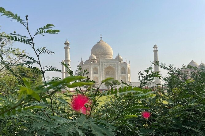 Same Day Tajmahal at Sunrise and SOS wildlife sanctuary tour - Agra Fort, UNESCO, and the Story Beyond the Main Postcard