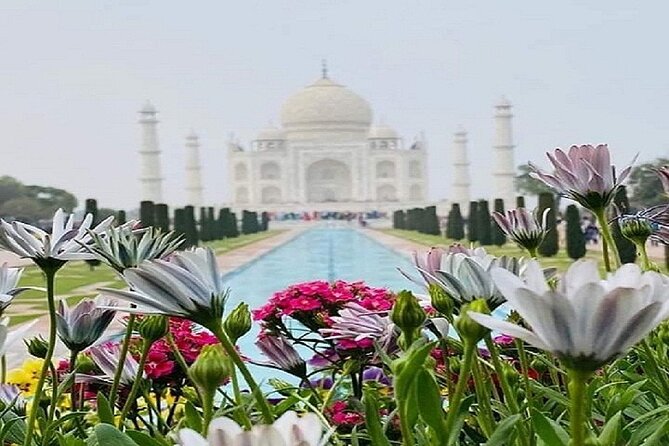 Sameday Taj Mahal Tour From Delhi With Lunch at 5 Star Hotel - Getting Into the Taj Mahal Faster: Skip-the-Line With a Real Guide
