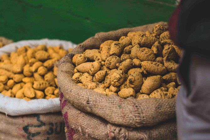 Spice Market & Old Delhi Highlights: Guided 3-Hour Tour - Should you book the Spice Market & Old Delhi highlights tour?
