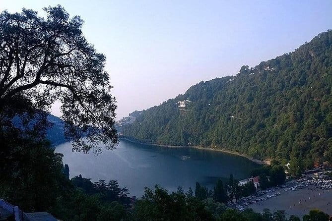 Sultanpur Bird Sanctuary Tour Near Delhi - Tower time: how a short climb improves your species count