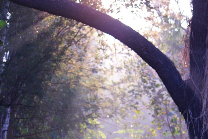 Sunder Nursery Delhi's Heritage Garden Walk Tour - The Setting: Humayun’s Tomb South Edge and Purana Qila North Edge