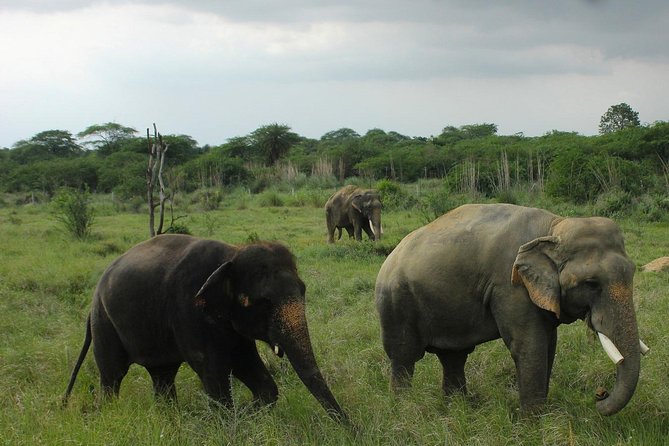 Taj Mahal, Agra Fort & Elephant Rescue Sanctuary Private Day Trip - Pickup in Delhi and the timing reality on the road