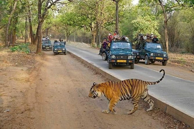 Taj Mahal & Agra Private Day Tour from New Delhi by Car with Meal - Lunch or breakfast at DoubleTree by Hilton Agra, and what you should expect