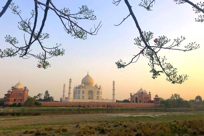 Taj Mahal Sharing Same Day Trip From Delhi Including all - Timing tips so you do not feel rushed at the monuments