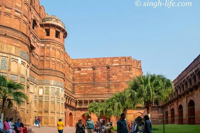 Taj Mahal Sunrise Tour with Elephant Conservation From Delhi - SOS Wildlife Elephant Sanctuary: Conservation With a Learning Focus