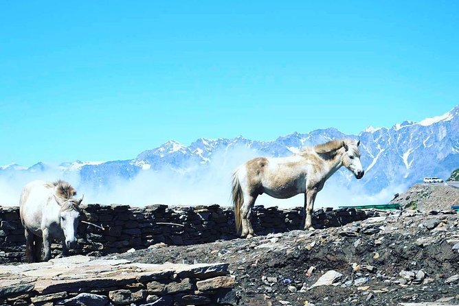 Unique Shimla and Manali tour - Why this Shimla and Manali route fits real-world timing