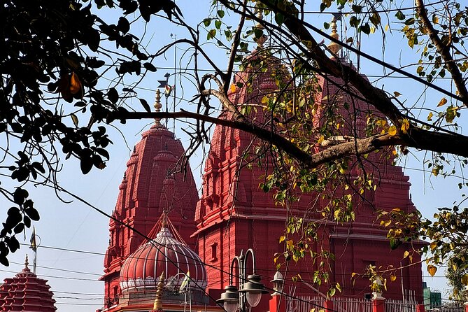 Unlock Delhi's Secrets: Food and Photography Full Day Tour - Price and value: what $113.33 really buys for a full day