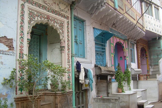 Vegan Food and walking tour in Delhi - What You Eat: Vegan Snack Stops With Black Tea