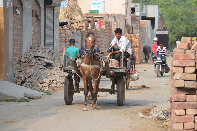Village Snapshot - Pure and simple - A Haryana Village Day That Feels Like a Reset From Delhi
